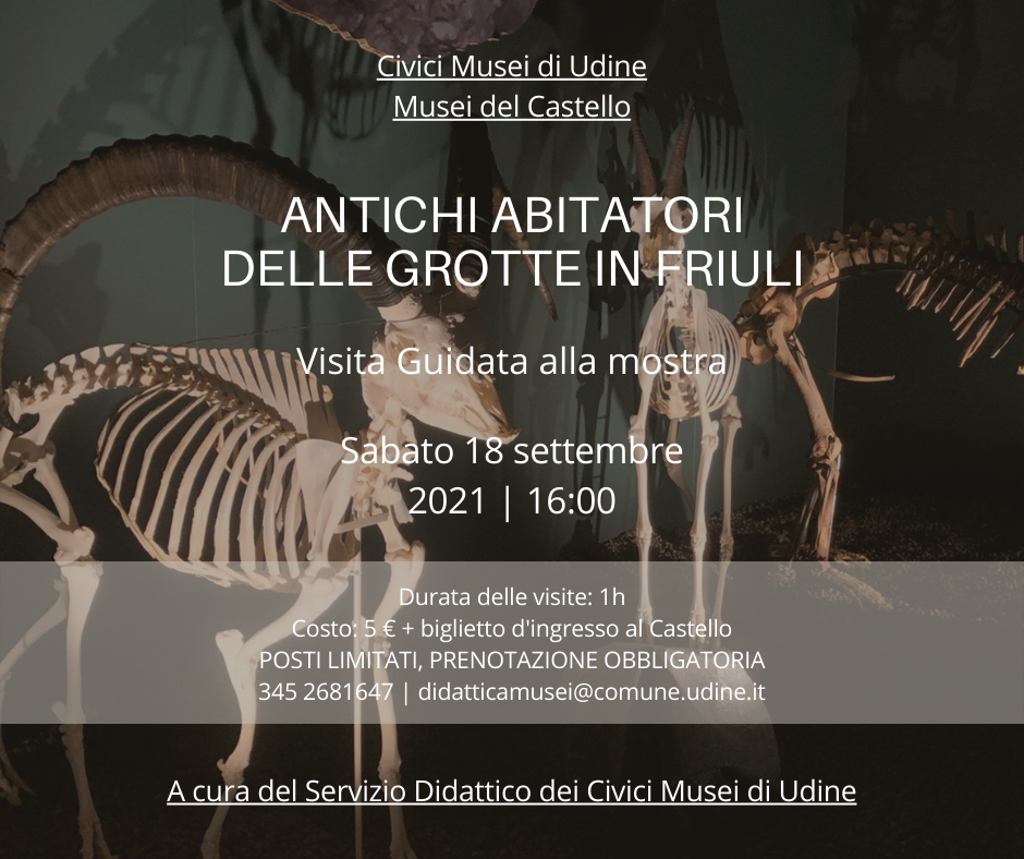 7 Civici Musei Antichi Abitatori