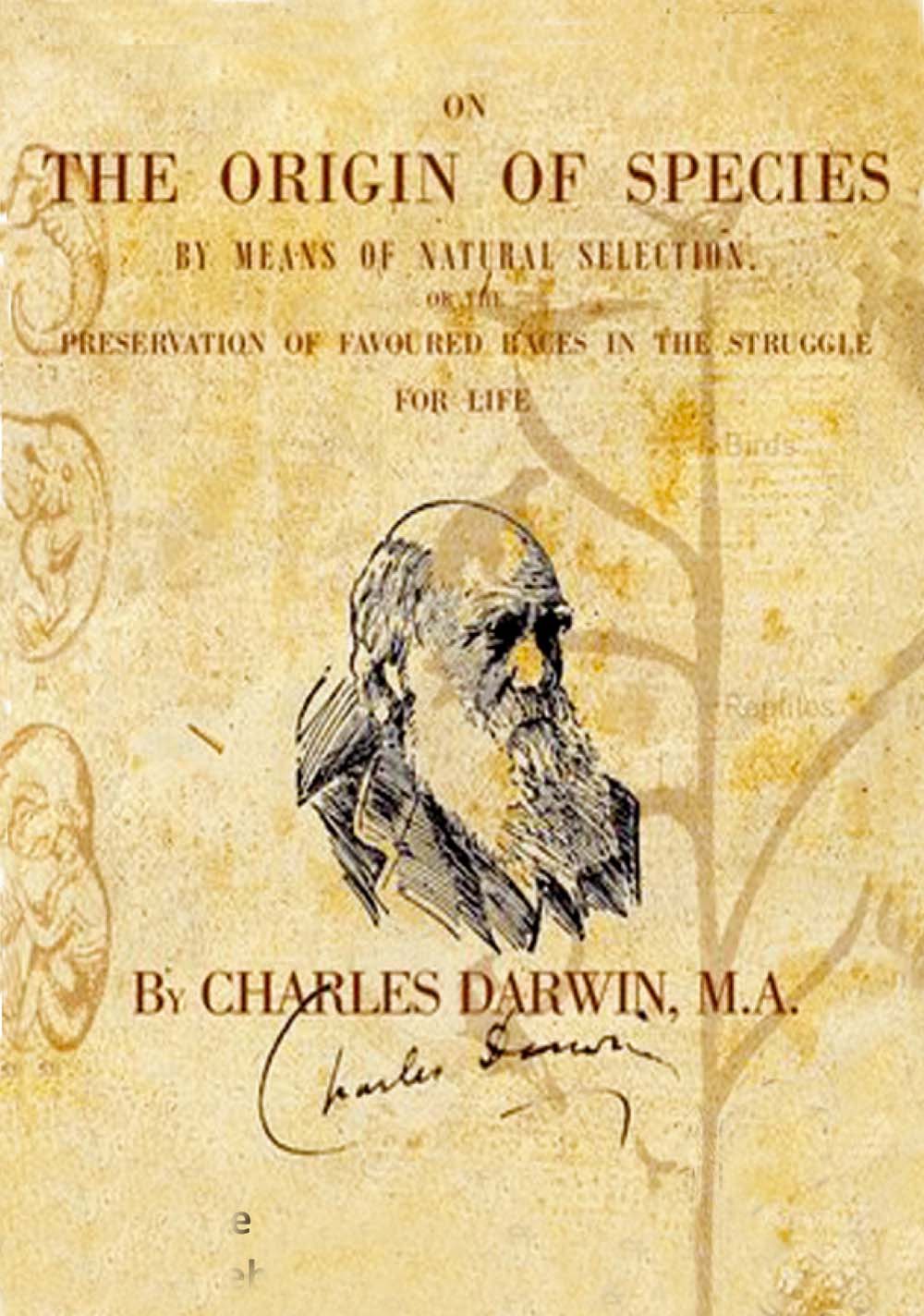 Il libro di Darwin: le origini della specie